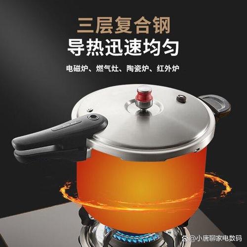 高压锅和电压锅哪种好用?2026年深度分析这6款优秀产品的特点与优势